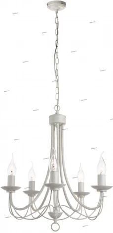 Подвесная люстра Arte Lamp Maypole A6300LM-5WG