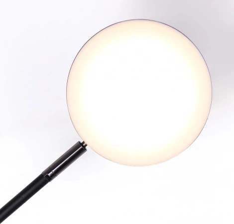 Настенный светильник Favourite Vorago 4631-2W (LED, 220V)