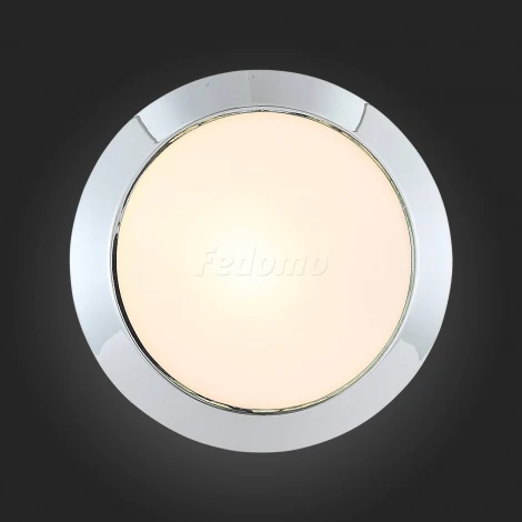 Настенно-потолочный светильник ST Luce Bagno SL469.502.01
