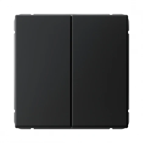 Выключатель двухклавишный (карбон) Systeme Electric GAL001017