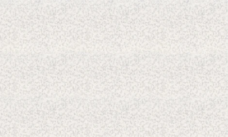 Обои виниловые Prima Italiana Lago Maggiore 33256 10,05 x 1,06 м