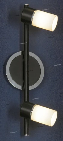 Настенный светильник Lussole Siliqua LSQ-6101-02