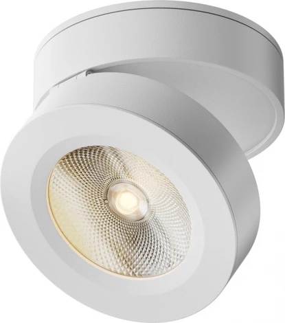 Накладной потолочный светильник Maytoni Magic C022CL-12W3K-W-1 (LED, 220V, круглые)