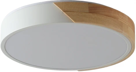 Потолочный светильник круглый Zortes Alberro ZRS.01289.24 (LED, 220V, круглые)