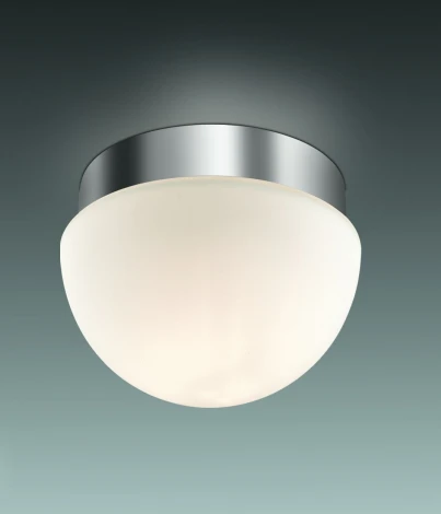 Настенно-потолочный светильник Odeon Light Minkar 2443/1A (220V, IP44)