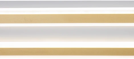 Настенно-потолочный светильник Indigo Arena V000055L (регулировка яркости, LED, 220V, пульт управления)