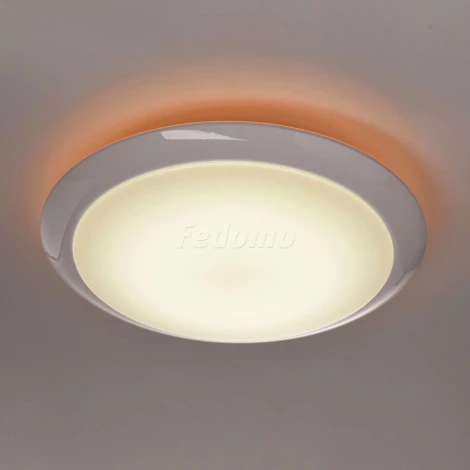 Потолочный светильник MW-Light Ривз 674014101