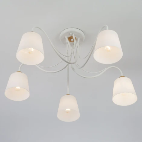 Потолочная люстра Eurosvet Betty 70062/5 белый (220V)