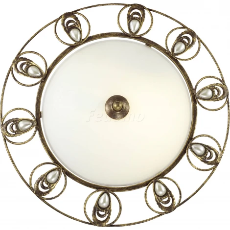Настенно-потолочный светильник Odeon Light Kanti 3484/3C
