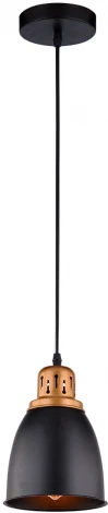 Подвесной светильник Arte Lamp Eurica A4248SP-1BK (220V, на проводе, круглые)