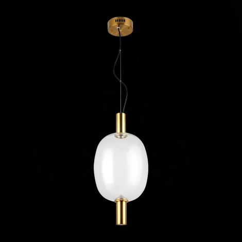 Подвесной светильник ST Luce Allenore SL1582.313.01 (LED, 220V, на тросе, шар)