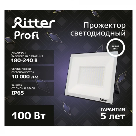 Прожектор уличный светодиодный Ritter PROFI 53419 2