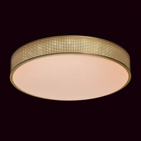 Потолочный светильник MW-Light Ривз 674015901
