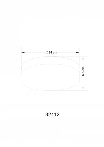 Потолочный светильник круглый Globo VRANOS 32112 (220V, IP44)