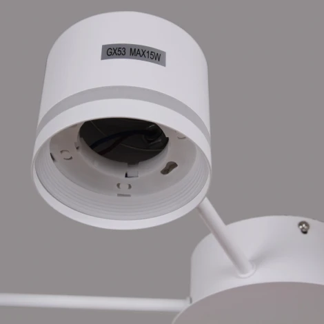 Потолочная люстра Reluce 06730-0.3-06 GX53 WT