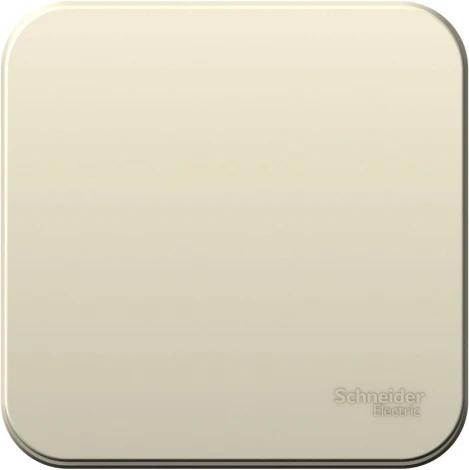 Выключатель накладной одноклавишный (молочный) Systeme Electric Blanca BLNVA061002