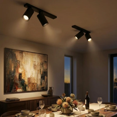 Настенно-потолочный спот Citilux Axel CL512521 Черный