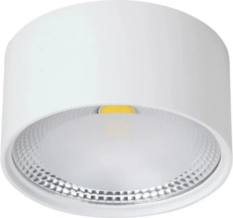 Потолочный накладной светильник светодиодный Wertmark WTA WTA.O02.007.V0.18 (220V, круглые, IP54)
