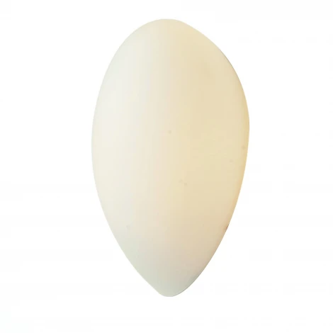 Настенный светильник ST Luce Bagno SL507.551.01