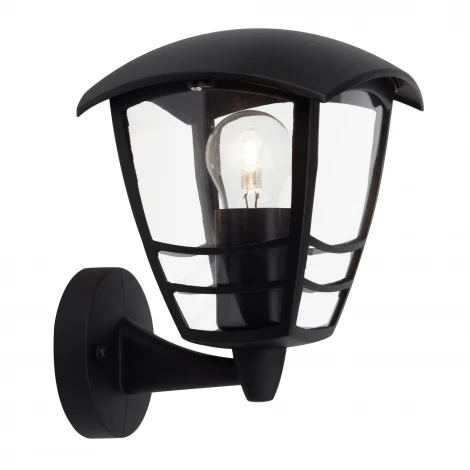 Настенный фонарь уличный Brilliant Riley 43381/06