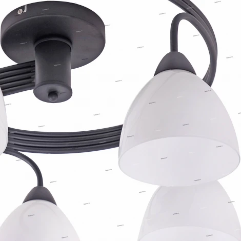 Потолочная люстра J-Light Fordy 1756/5C