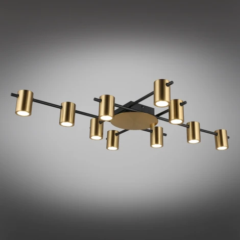 Потолочная люстра на штанге Aployt Elwisia APL.633.07.10