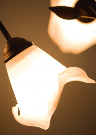 Потолочная люстра Lampex Ada 505/5 B+Z