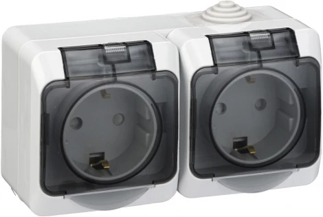 Розетка накладная двойная с заземлением, шторками и крышкой (серый) IP44 Systeme Electric Etude PA16-244C