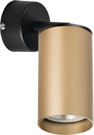 Спот Lightstar Rullo RB440 (220V, круглые)