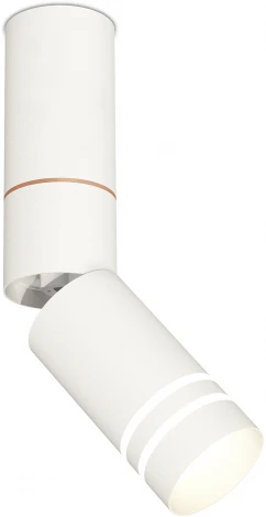 Накладной точечный светильник Ambrella Techno Spot XM6312150 (220V, круглые)