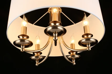 Подвесная люстра Aployt Berze APL.721.06.05 (220V, на цепи, свеча, круглые)