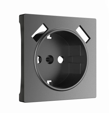 Накладка для розетки USB (графит матовый) Werkel W1179564 (a063113)