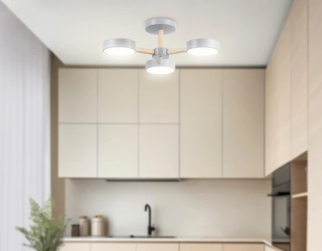 Потолочная люстра на штанге светодиодная с пультом Ambrella Comfort FL4822 (регулировка яркости, 220V, круглые)