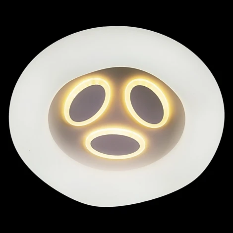 Потолочный светильник круглый светодиодный с пультом регулировкой цветовой температуры и яркости Reluce 10008-0.3-80W PLANET (220V, круглые)