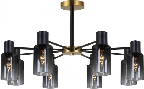 Потолочная люстра на штанге Reluce 74677-0.3-08 (220V)