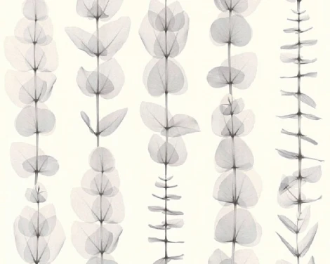 Обои виниловые A.S. Creation X-Ray 34246-2 10,05 x 0,53 м