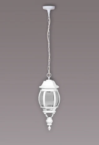 Уличный светильник подвесной Oasis Light America L W 83405L