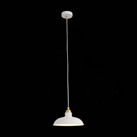 Подвесной светильник ST Luce Pietanza SL323.503.01