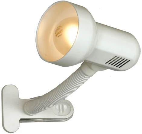 Интерьерная настольная лампа Lussole Sofia LST-4954-01