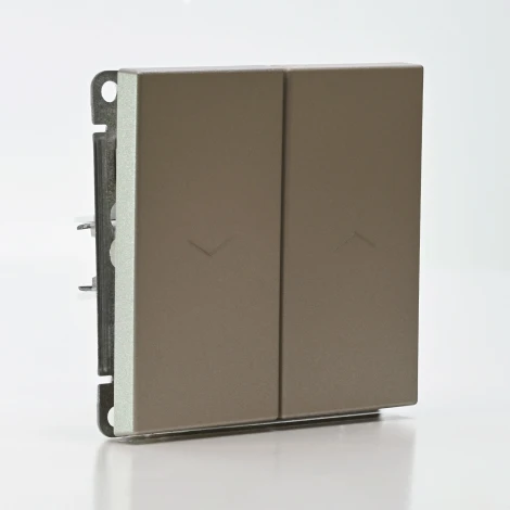 Выключатель жалюзи двухклавишный (шампань) Systeme Electric GAL000519S