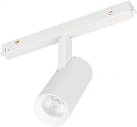 Трековый светильник MAG-ORIENT-SPOT-R45-12W Day4000 (WH, 36 deg, 48V) (Arlight, IP20 Металл, 5 лет) 053721