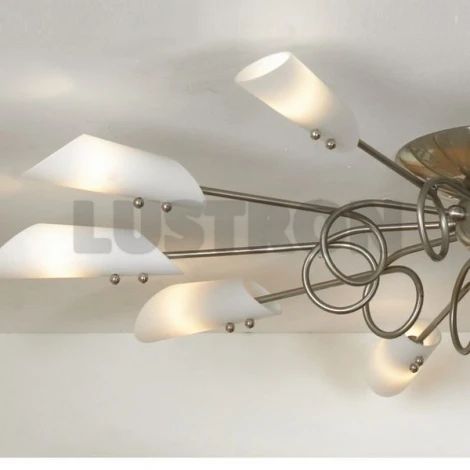 Потолочная люстра Lussole Belluno LSF-6913-10
