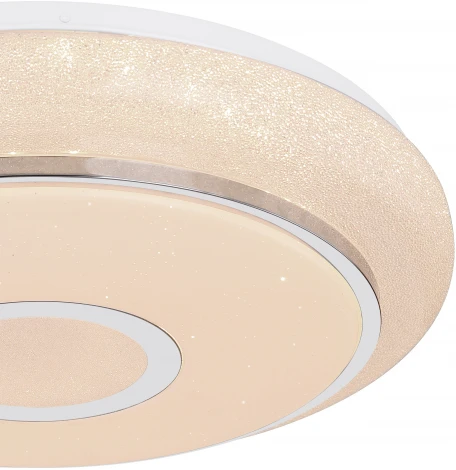 Потолочный светильник круглый Globo Dani 48389-40 (LED, 220V, круглые)