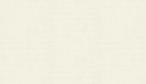 Обои виниловые Marburg Project 31832 10,05 x 0,53 м