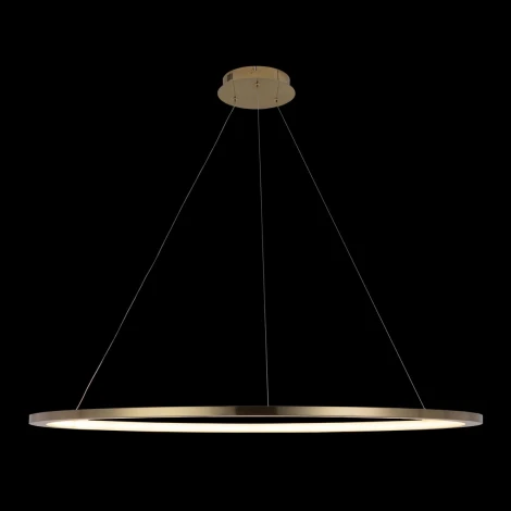 Подвесной светильник Loft IT Ring 10014XXL (LED, 220V, на тросе, кольцо)