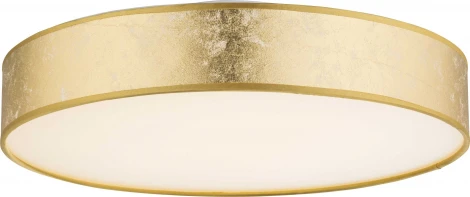 Потолочный светильник Globo Paco 15187D2