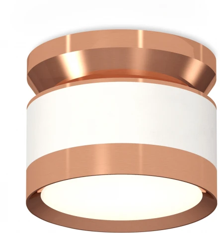 Накладной точечный светильник Ambrella Techno Spot XS8101065 (220V, круглые)