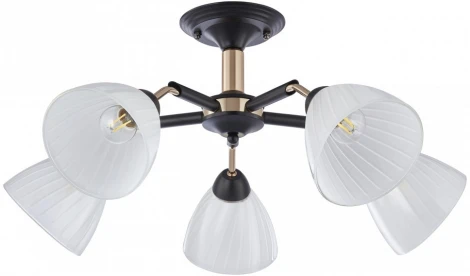 Потолочная люстра на штанге Arte Milano Napoli 324108/5 BK+FG (220V)