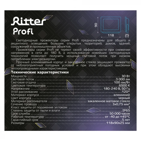 Прожектор уличный светодиодный Ritter PROFI 53407 9