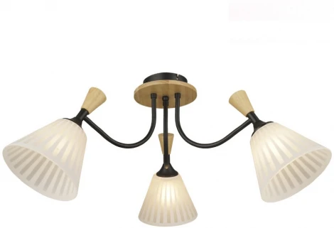 Потолочная люстра Wedo Light Vestmar WD3577/3C-BK-WT